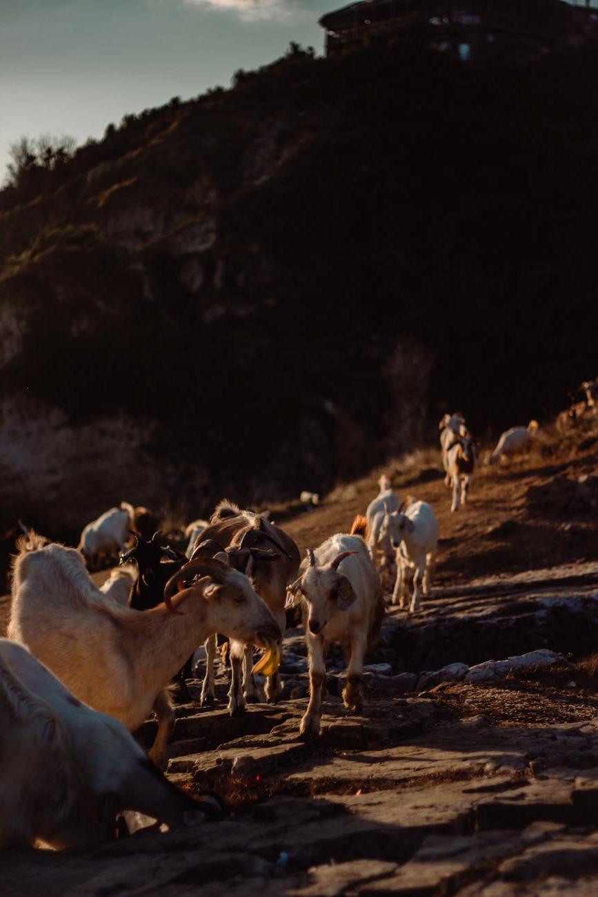 Avukat Mehmet Yılmaz Portresi